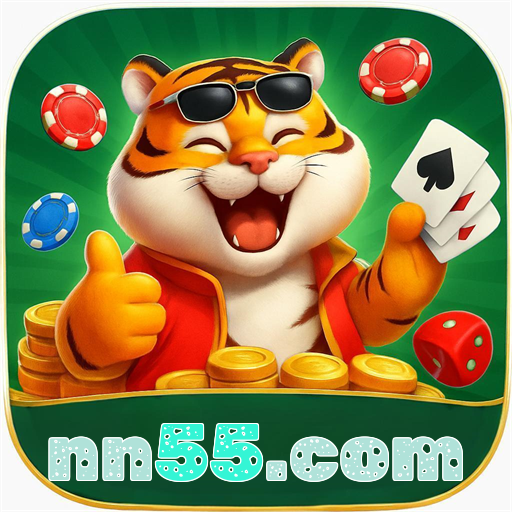 nn55.com logo